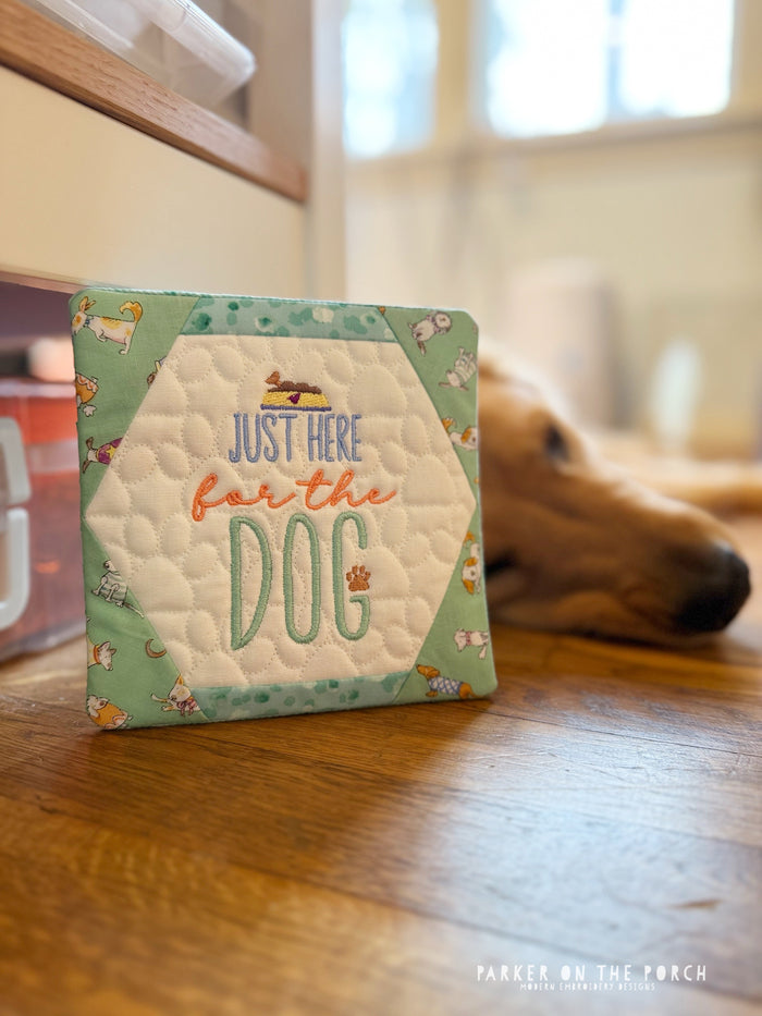 Just here for the Dogs - Parker on the Porch